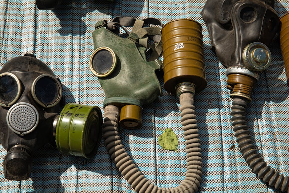 The Role of Government in Air Quality Regulation