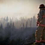 Impact of Air Pollution on Health