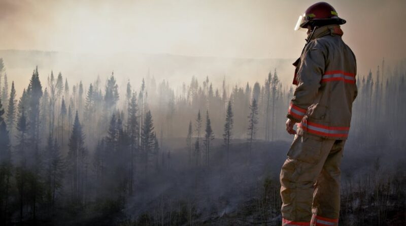 Impact of Air Pollution on Health
