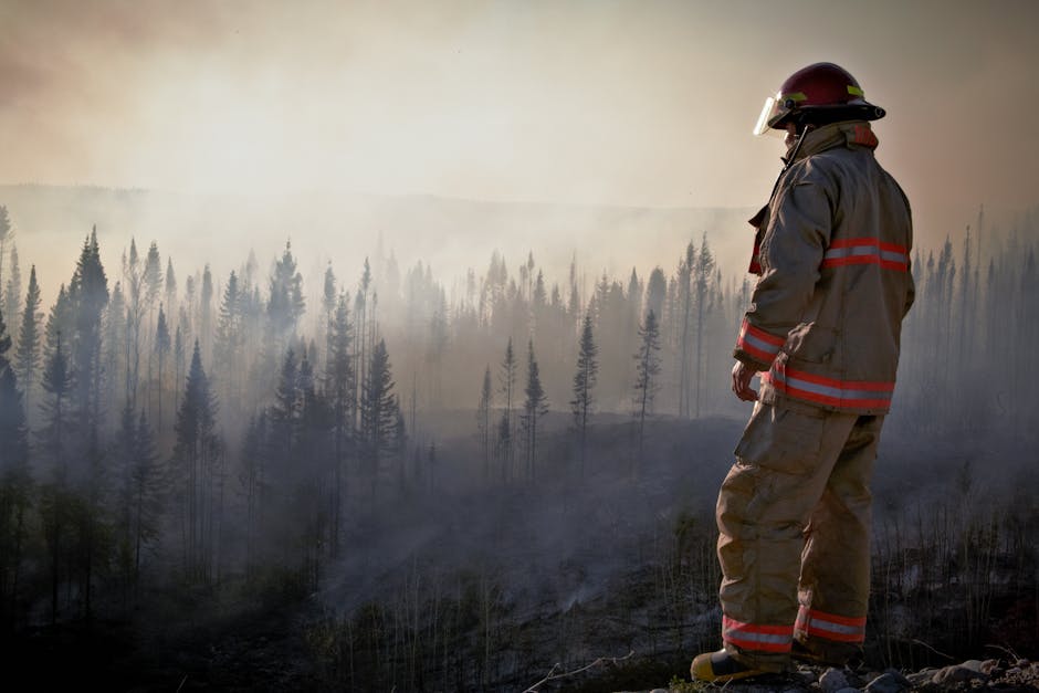 Impact of Air Pollution on Health