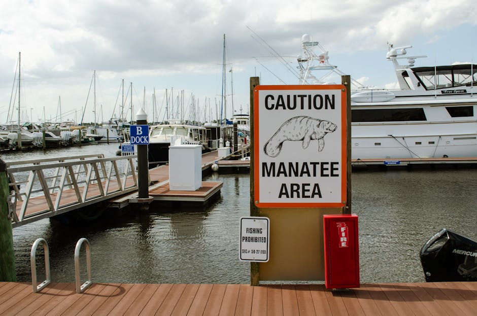 Water Safety Regulations: What You Should Know