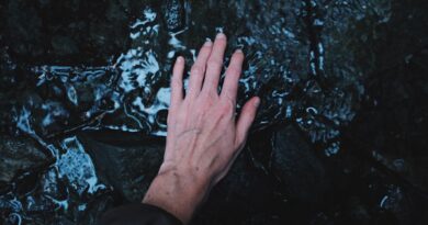 The Connection Between Clean Water and Wellness