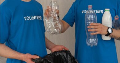 How to Reduce Pollution in Your Community