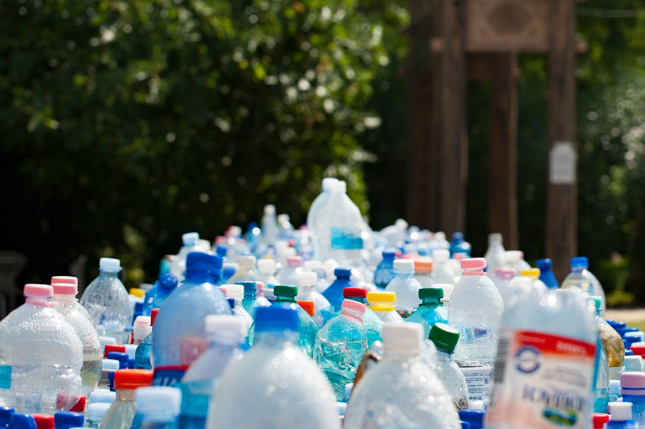 How to Reduce Pollution in Your Community