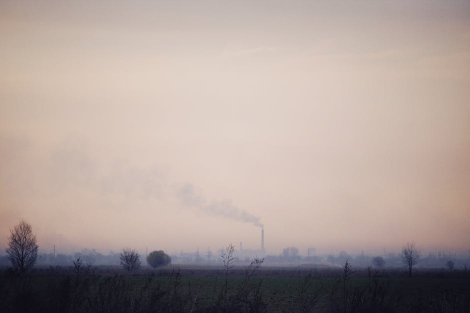 The Role of Government in Air Quality Regulation